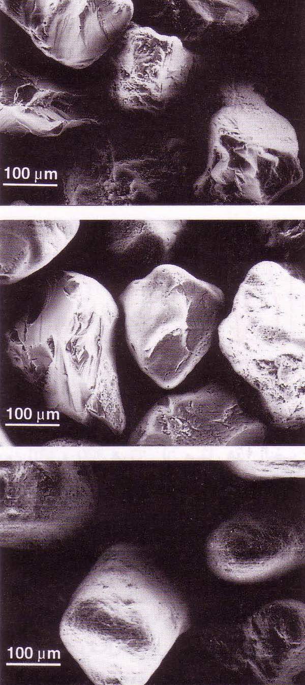 http://oloommagazine.com/images/Articles/14/SCI98b14N3_H05_007664.jpg