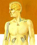 http://oloommagazine.com/images/Articles/15/SCI99b15N2-3_H01_008585.jpg