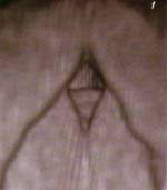 http://oloommagazine.com/images/Articles/15/SCI99b15N8-9_H03_009074.jpg