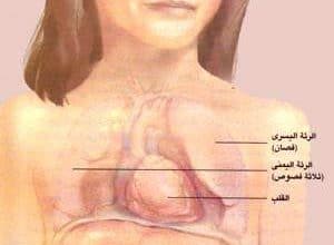 http://oloommagazine.com/images/Articles/16/SCI2000b16N1_H02_003646.jpg