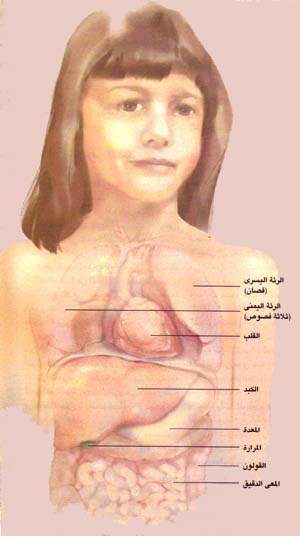 http://oloommagazine.com/images/Articles/16/SCI2000b16N1_H02_003646.jpg