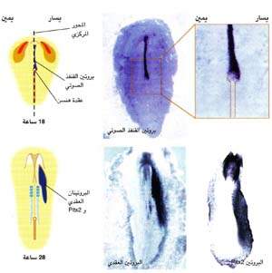 http://oloommagazine.com/images/Articles/16/SCI2000b16N1_H02_003649.jpg