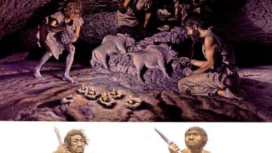 http://oloommagazine.com/images/Articles/16/SCI2000b16N9_H04_001352.jpg