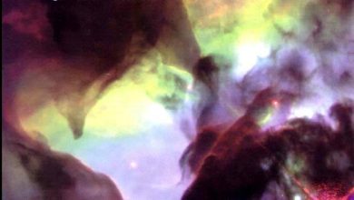 http://oloommagazine.com/images/Articles/16/SCI2000b16N7_8_H05_001246.jpg
