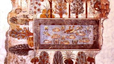 http://oloommagazine.com/images/Articles/16/SCI2000b16N12_H03_003548.jpg