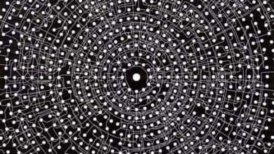 http://oloommagazine.com/images/Articles/16/SCI2000b16N11_H04_003465.jpg