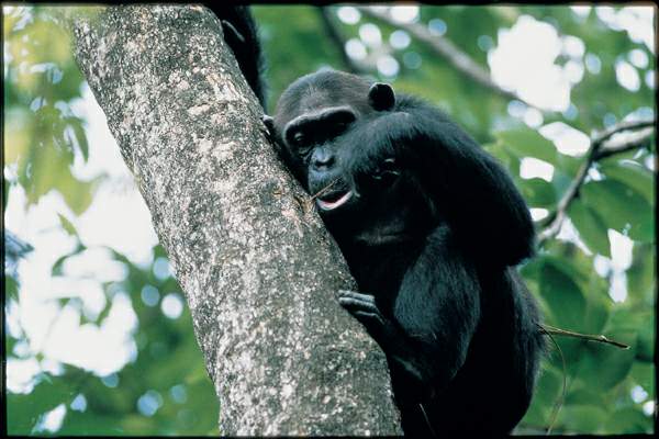 http://oloommagazine.com/images/Articles/17/SCI2001b17N8-9_H02_001868.jpg