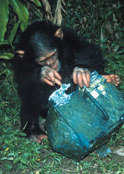 http://oloommagazine.com/images/Articles/17/SCI2001b17N8-9_H02_001874.jpg