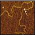 http://oloommagazine.com/images/Articles/17/SCI2001b17N6-7_H05_001788.jpg
