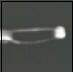 http://oloommagazine.com/images/Articles/17/SCI2001b17N6-7_H05_001790.jpg