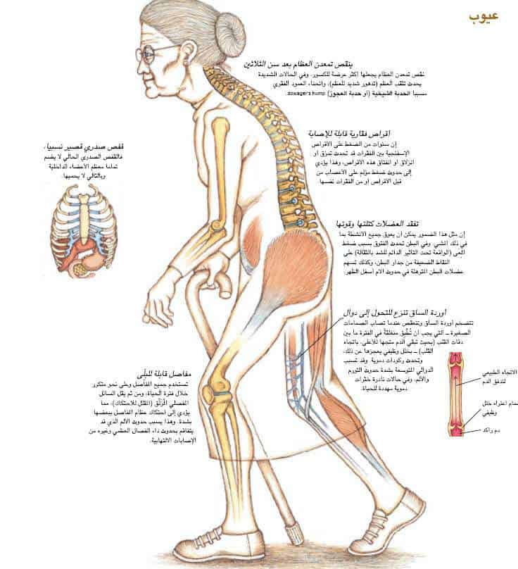 http://oloommagazine.com/images/Articles/17/SCI2001b17N6-7_H04_001772.jpg