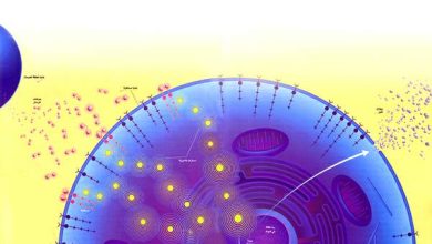 http://oloommagazine.com/images/Articles/17/SCI2001b17N1-2_H04_00365.jpg