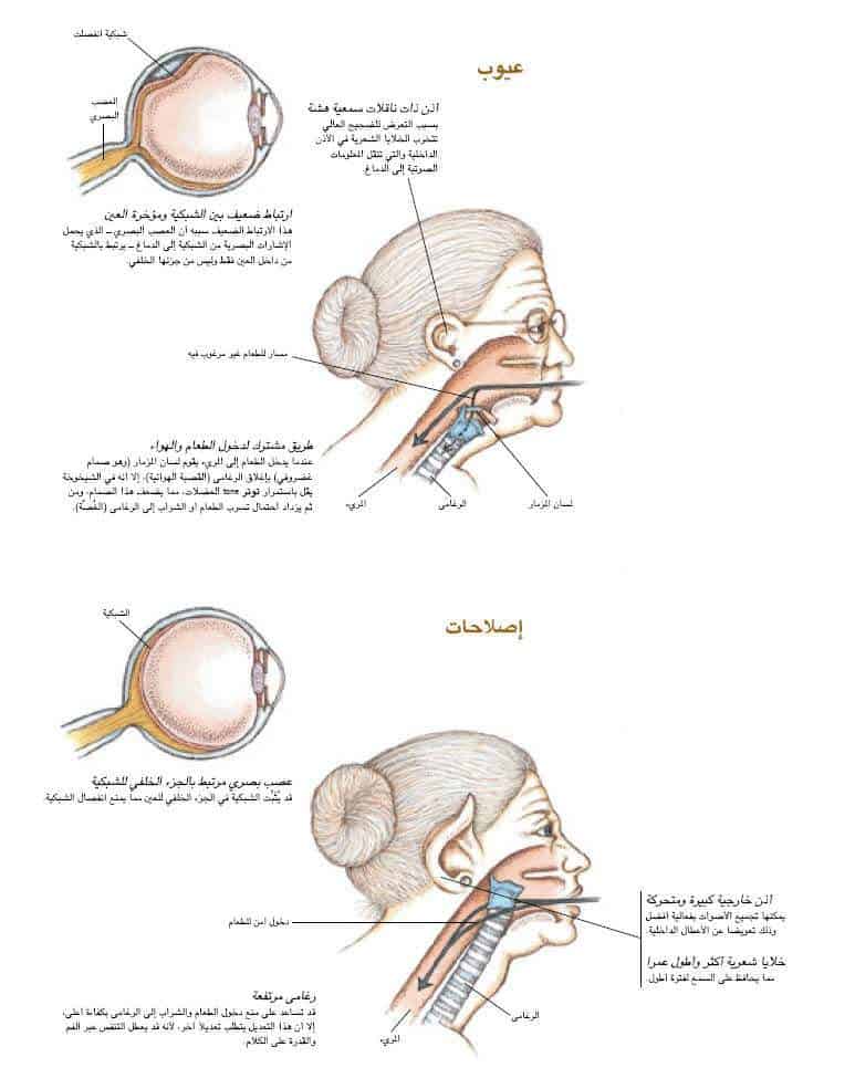 http://oloommagazine.com/images/Articles/17/SCI2001b17N6-7_H04_001774.jpg
