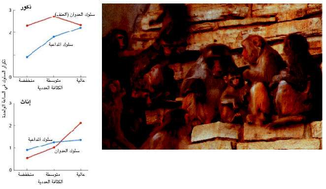 http://oloommagazine.com/images/Articles/17/SCI2001b17N1-2_H03_00361.jpg
