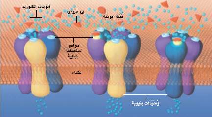 http://oloommagazine.com/images/Articles/18/SCI2002b18N11-12_H03_001987.jpg