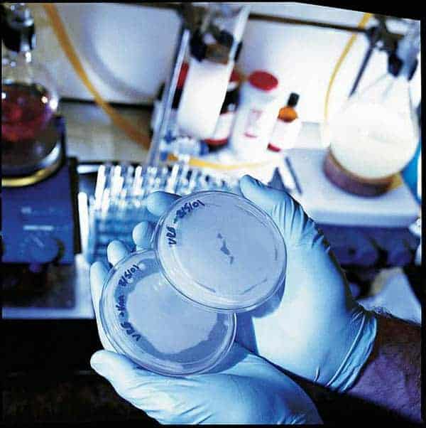 http://oloommagazine.com/images/Articles/18/SCI2002b18N4_H05_002275.jpg