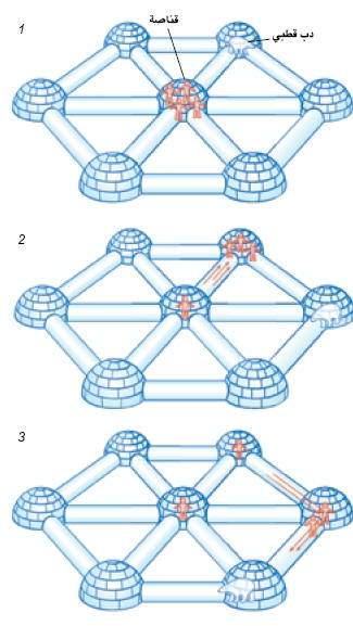 http://oloommagazine.com/images/Articles/18/SCI2002b18N5-6_H04_002350.jpg