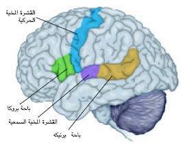 http://oloommagazine.com/images/Articles/18/SCI2002b18N5-6_H03_002344.jpg