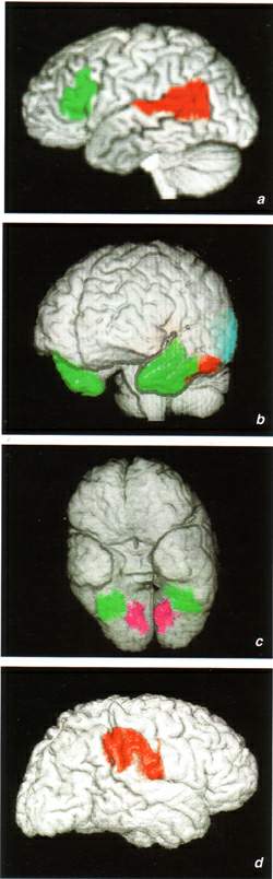 http://oloommagazine.com/images/Articles/18/SCI2002b18N5-6_H02_002340.jpg