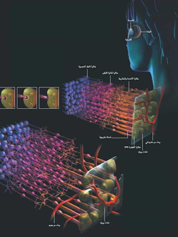 http://oloommagazine.com/images/Articles/19/SCI2003b19N1_H03_002762.jpg
