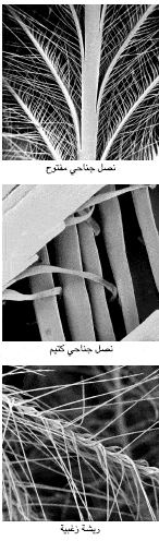 http://oloommagazine.com/images/Articles/19/SCI2003b19N10_H05_0083.gif