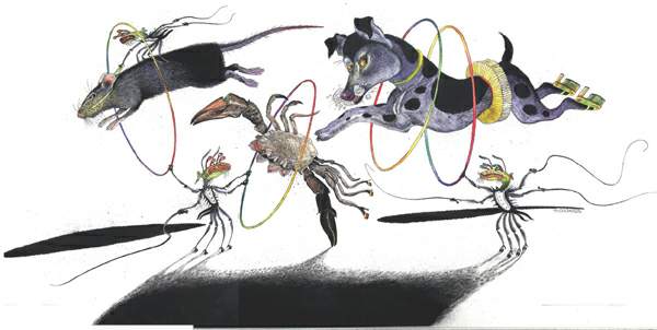 http://oloommagazine.com/images/Articles/19/SCI2003b19N10_H02_002608.jpg