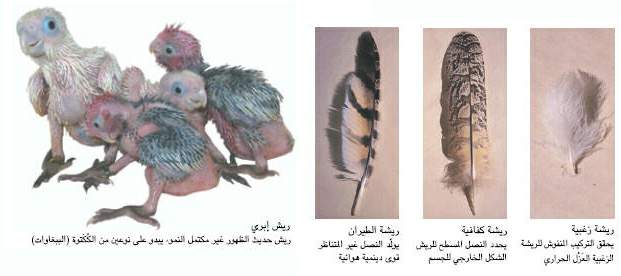http://oloommagazine.com/images/Articles/19/SCI2003b19N10_H05_002621.jpg
