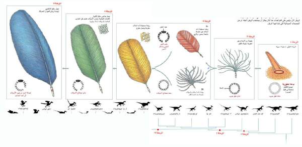http://oloommagazine.com/images/Articles/19/SCI2003b19N10_H05_002623.jpg