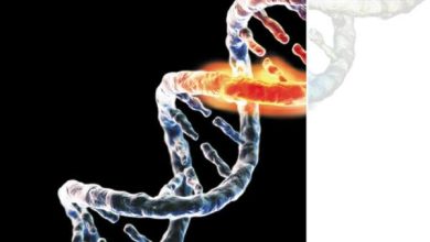 http://oloommagazine.com/images/Articles/19/SCI2003b19N6-7_H02_00512.jpg