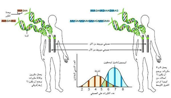 http://oloommagazine.com/images/Articles/20/SCI2004b20N1_H02_003231.jpg