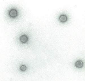 http://oloommagazine.com/images/Articles/20/SCI2004b20N4-5_H02_003437.jpg