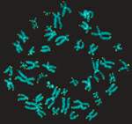 http://oloommagazine.com/images/Articles/20/SCI2004b20N2-3_H02_003336.jpg