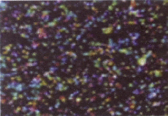 http://oloommagazine.com/Images/Articles/2006/10/scan0023-3.gif