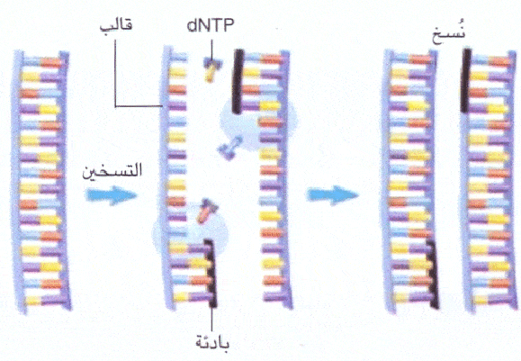 http://oloommagazine.com/Images/Articles/2006/10/scan0025-2.gif