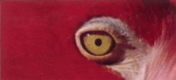 http://oloommagazine.com/Images/Articles/2006/10/scan0031.gif