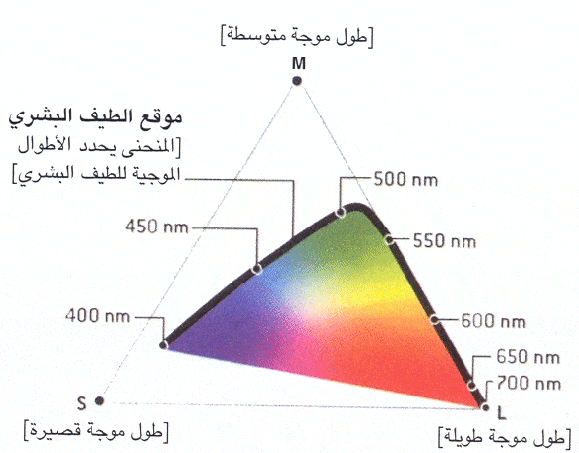 http://oloommagazine.com/Images/Articles/2006/10/scan0028-1.gif