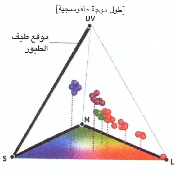 http://oloommagazine.com/Images/Articles/2006/10/scan0028-2.gif