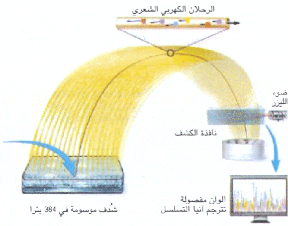 http://oloommagazine.com/Images/Articles/2006/10/scan0025-3.gif