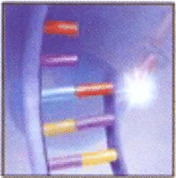 http://oloommagazine.com/Images/Articles/2006/10/scan0024-2.gif