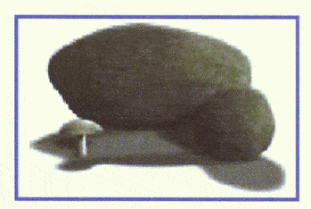 http://oloommagazine.com/images/Articles/2006/11-12/Copy%20(2)%20of%200063.gif