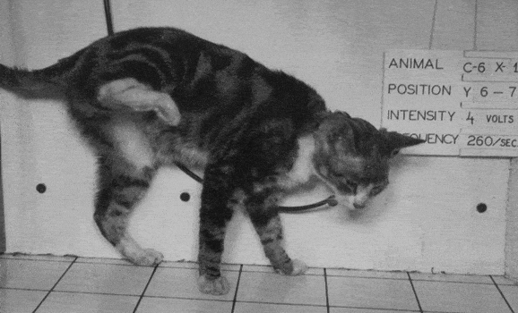 http://oloommagazine.com/images/Articles/2006/3-4/30.gif