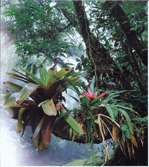 http://oloommagazine.com/images/Articles/2006/5/P20.gif