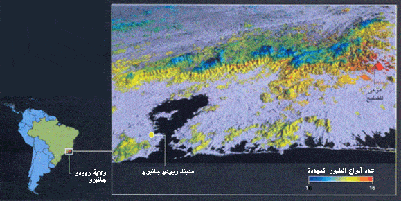 http://oloommagazine.com/images/Articles/2006/5/P25%20copy.gif