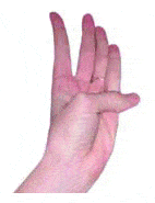 http://oloommagazine.com/images/Articles/2006/6-7/02.gif