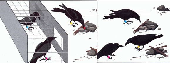 http://oloommagazine.com/images/Articles/2007/10-9/146.gif