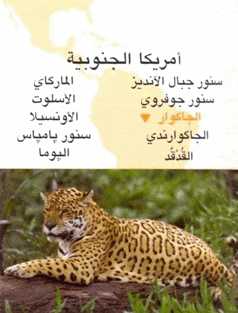 http://oloommagazine.com/images/Articles/2008/1-2/scan0056%5b4%5d.gif