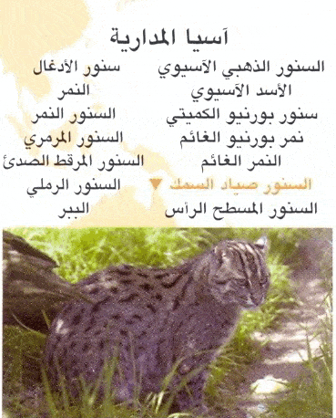 http://oloommagazine.com/images/Articles/2008/1-2/scan0056%5b5%5d.gif