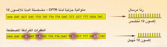 http://oloommagazine.com/Images/Articles/2009/11-12/14-3.gif