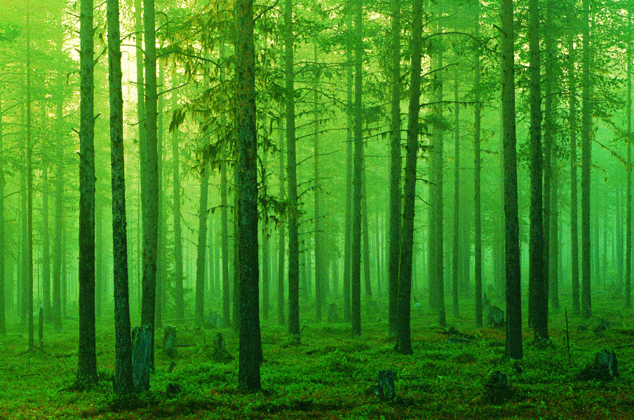 http://oloommagazine.com/Images/Articles/2009/11-12/SA0709Dale9c.gif