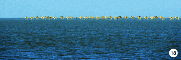 http://oloommagazine.com/images/Articles/2009/3&4/79.gif